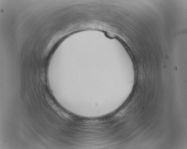 X0000076351499200610272107