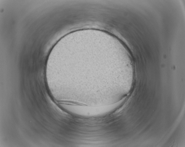 X0000076351500200610272107