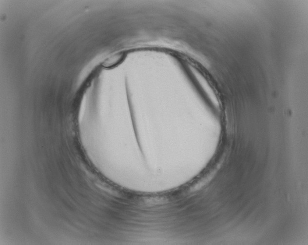 X0000076351501200610272107