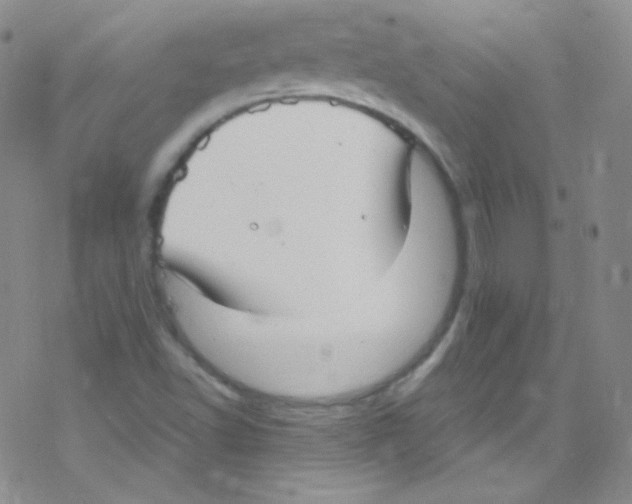 X0000076351502200610272107