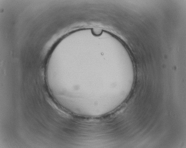 X0000076351503200610272107