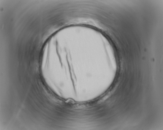 X0000076351505200610272107