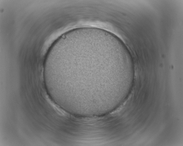 X0000076351507200610272107