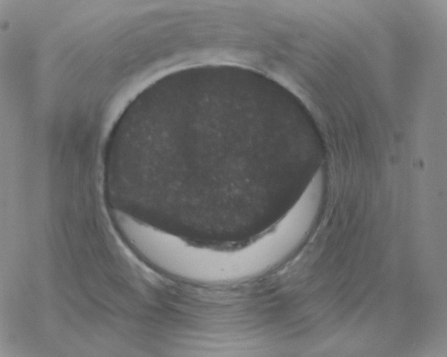 X0000076351508200610272107