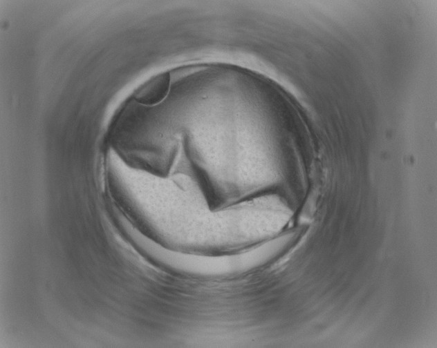 X0000076351510200610272107