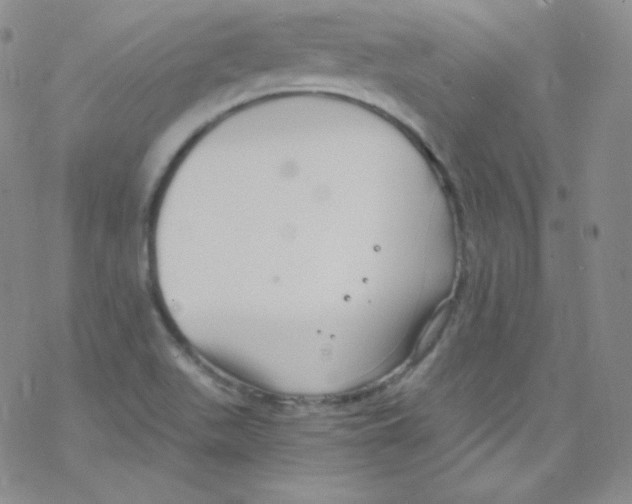 X0000076351511200610272107