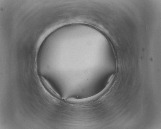 X0000076351512200610272107