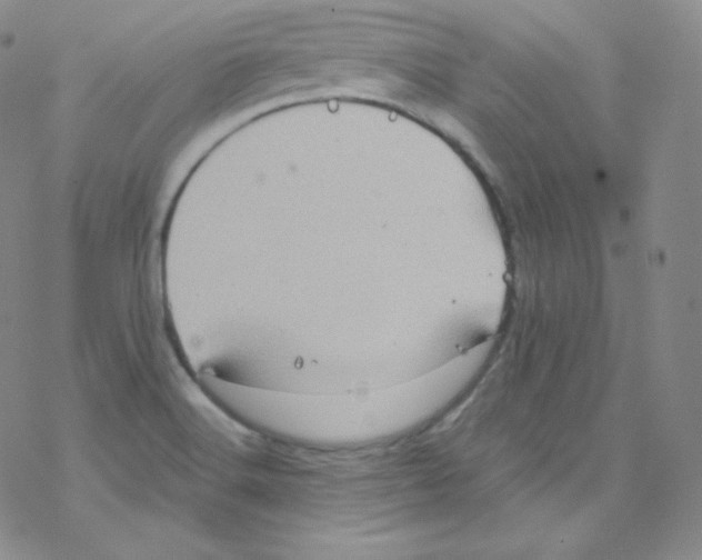 X0000076351516200610272107