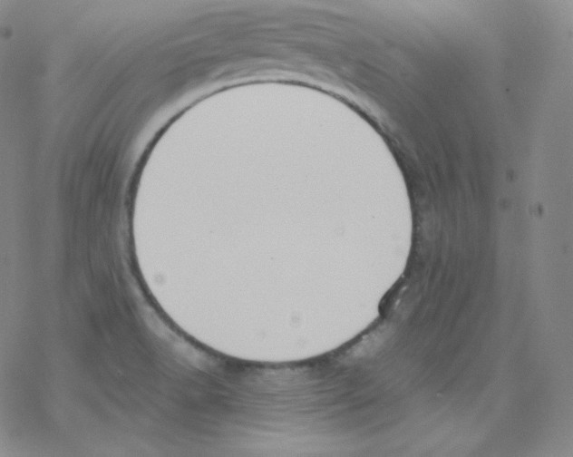 X0000076351518200610272107