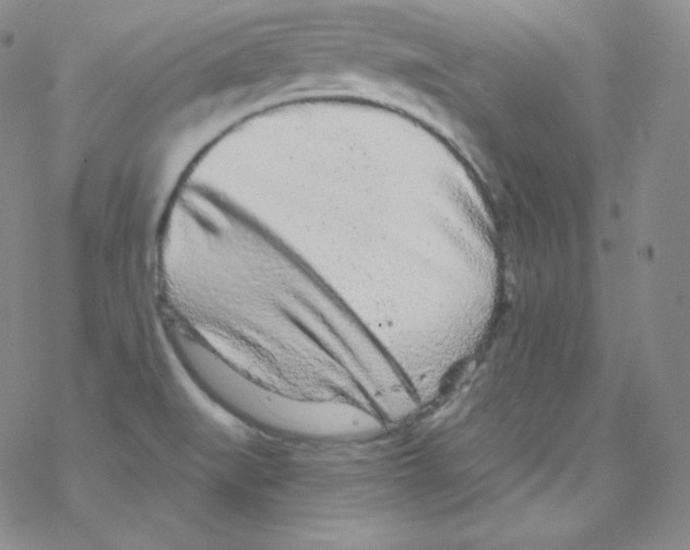 X0000076351519200610272107