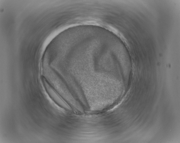 X0000076351520200610272107