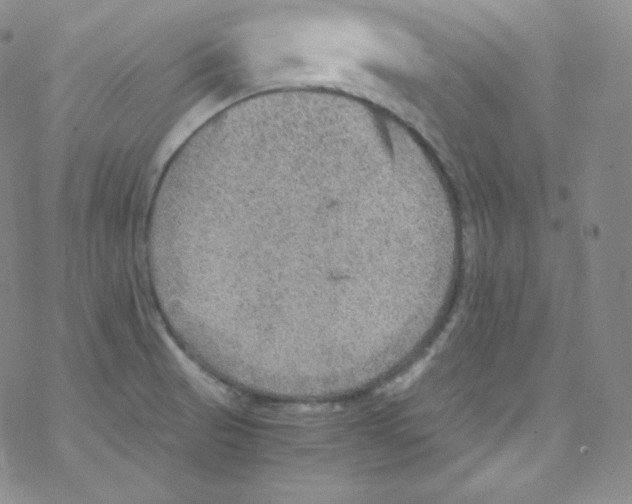 X0000076351521200610272107