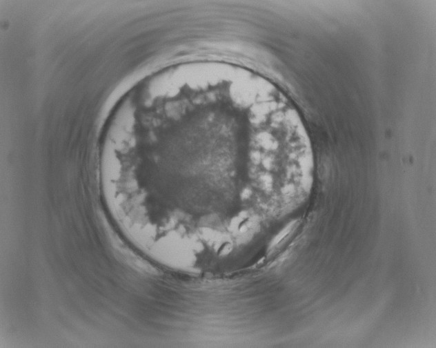 X0000076351522200610272107