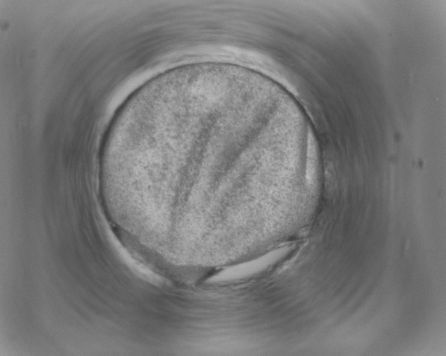 X0000076351523200610272107