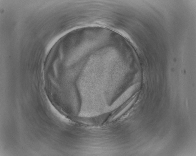 X0000076351524200610272107