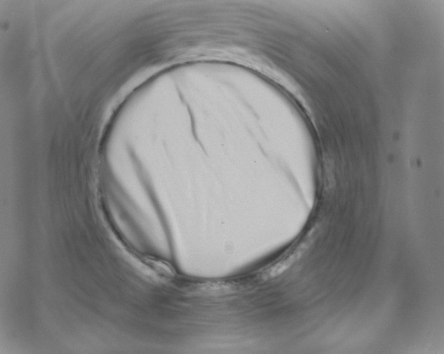 X0000076351525200610272107