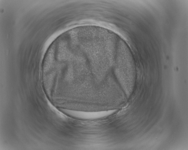 X0000076351527200610272107