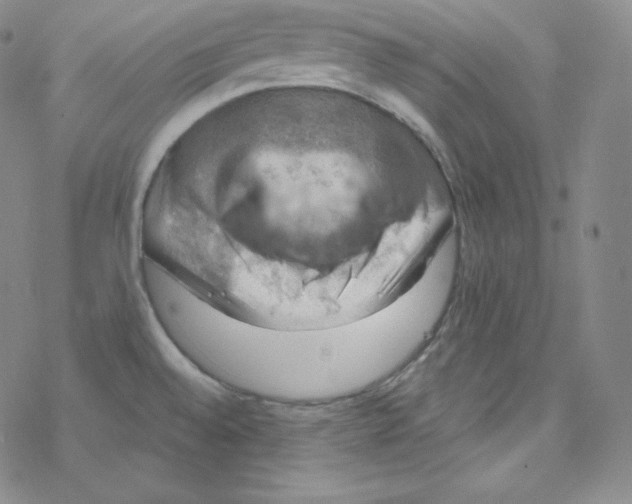 X0000076351528200610272107