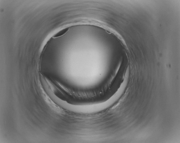 X0000076351530200610272107