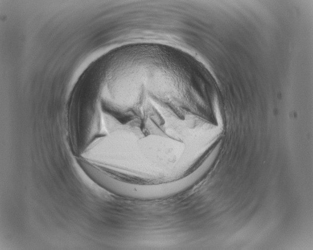 X0000076351531200610272107