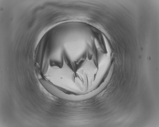 X0000076351532200610272107