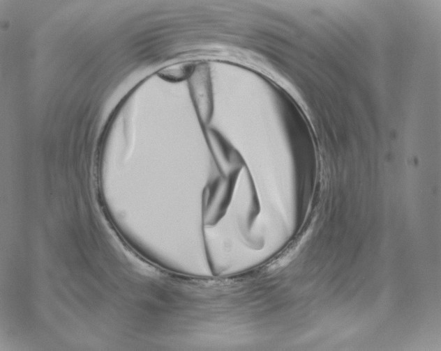 X0000076351533200610272107