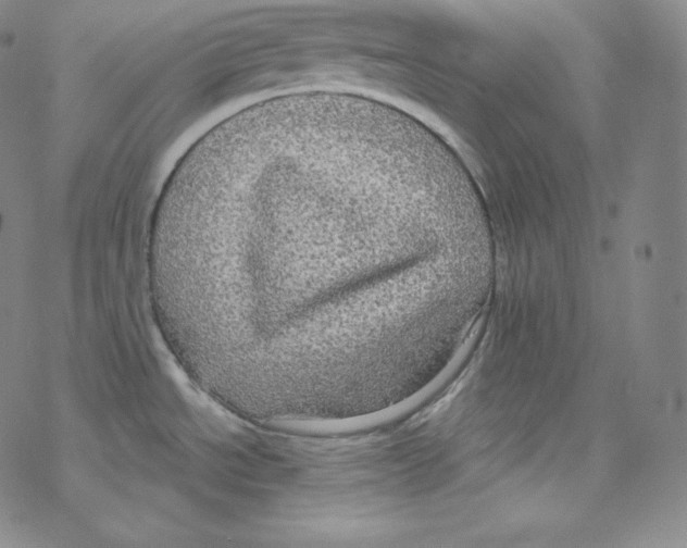 X0000076351534200610272107