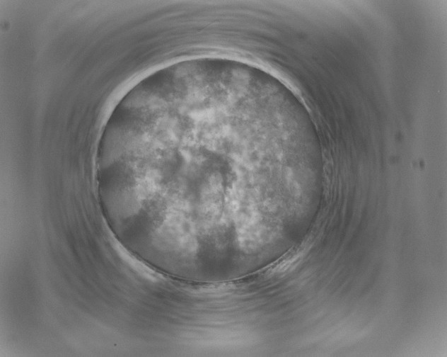 X0000076351535200610272107