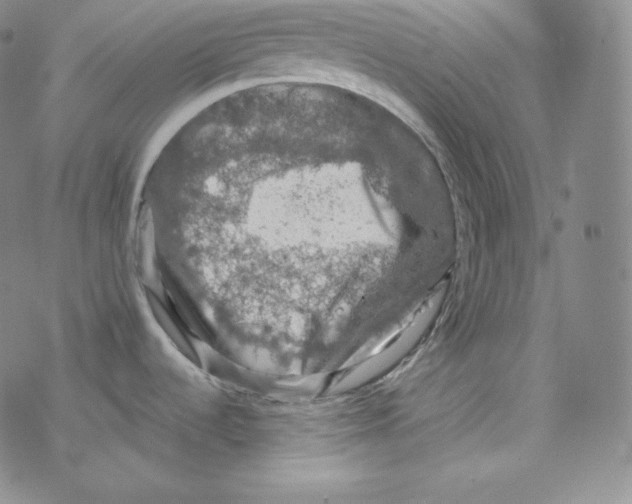 X0000076351536200610272107