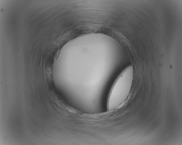 X0000076370045200610060912