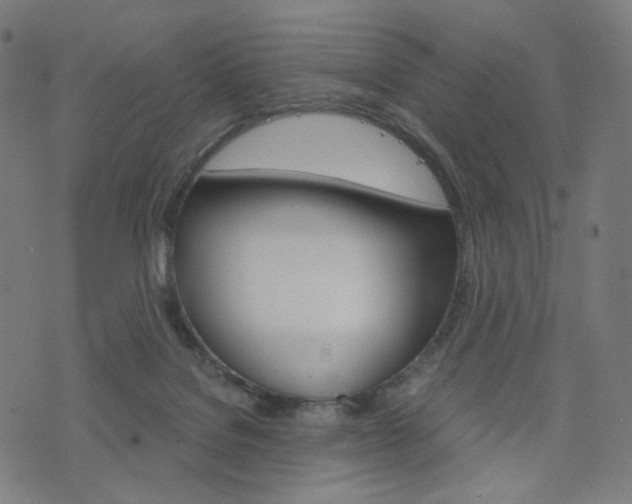 X0000076370076200610060911