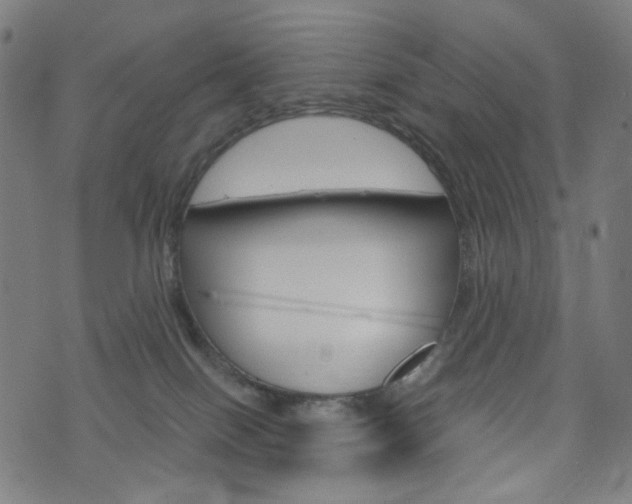 X0000076370086200610060911