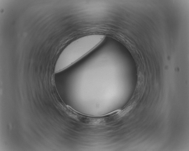 X0000076370096200610060912