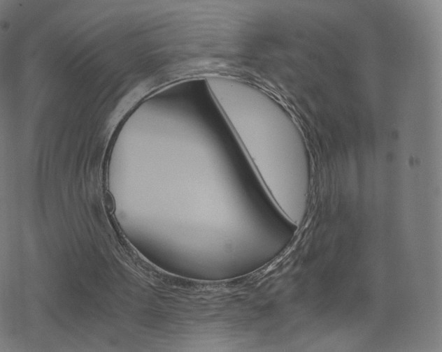 X0000076370099200610060911