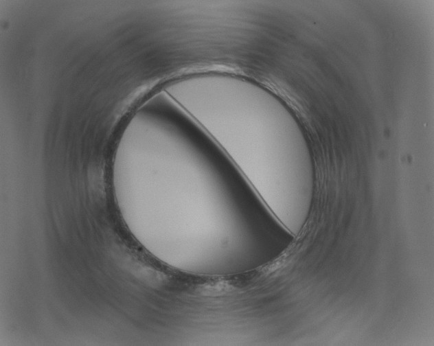 X0000076370112200610060910