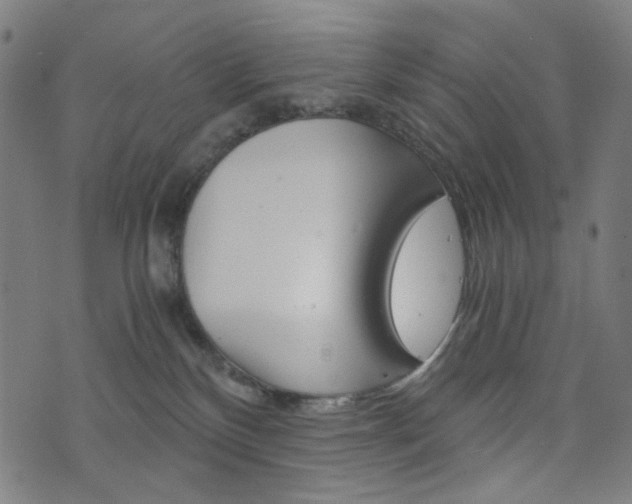 X0000076370136200610060910