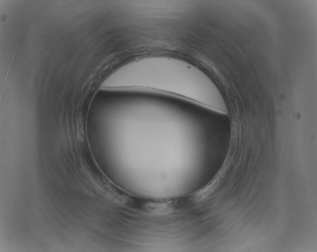 X0000076370170200610060910