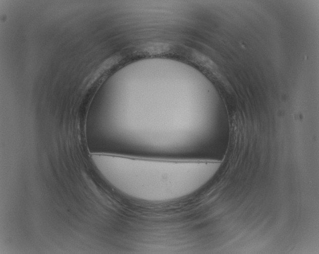 X0000076370212200610060909