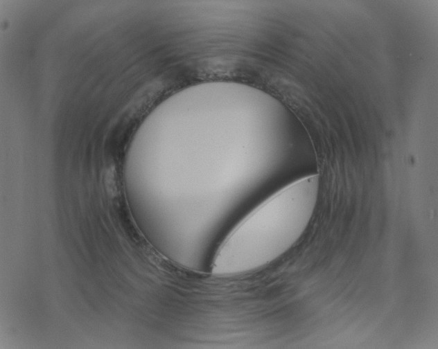 X0000076370224200610060909