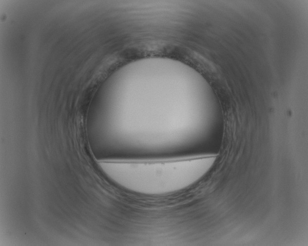 X0000076370225200610060909