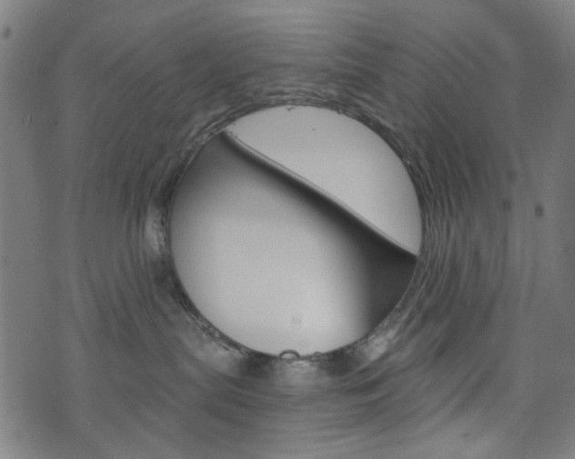 X0000076370287200610060908