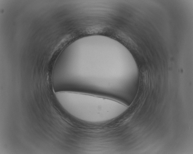 X0000076370308200610060907