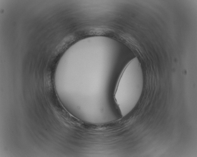 X0000076370312200610060907