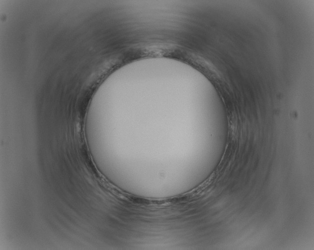 X0000076370314200610060907