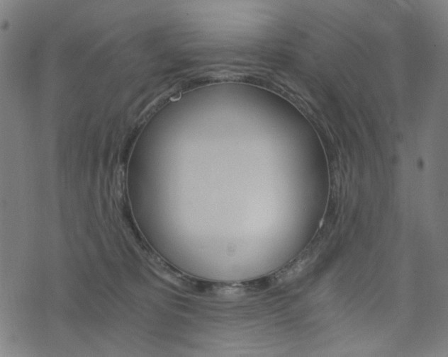 X0000076370325200610060907