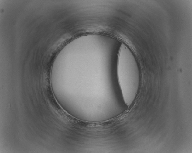 X0000076370354200610060906