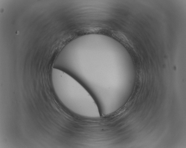 X0000076370366200610060907