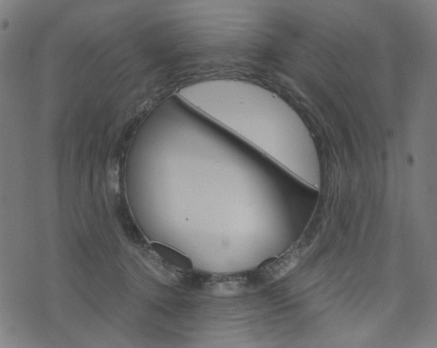 X0000076370368200610060907