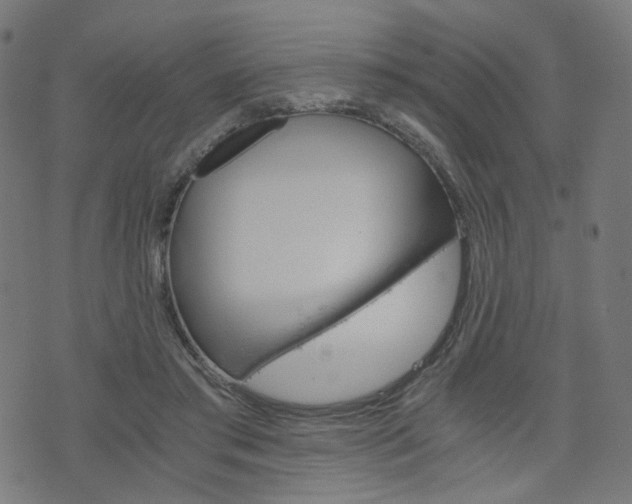 X0000076370405200610060906