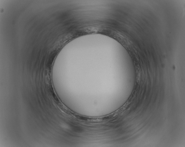 X0000076370414200610060906